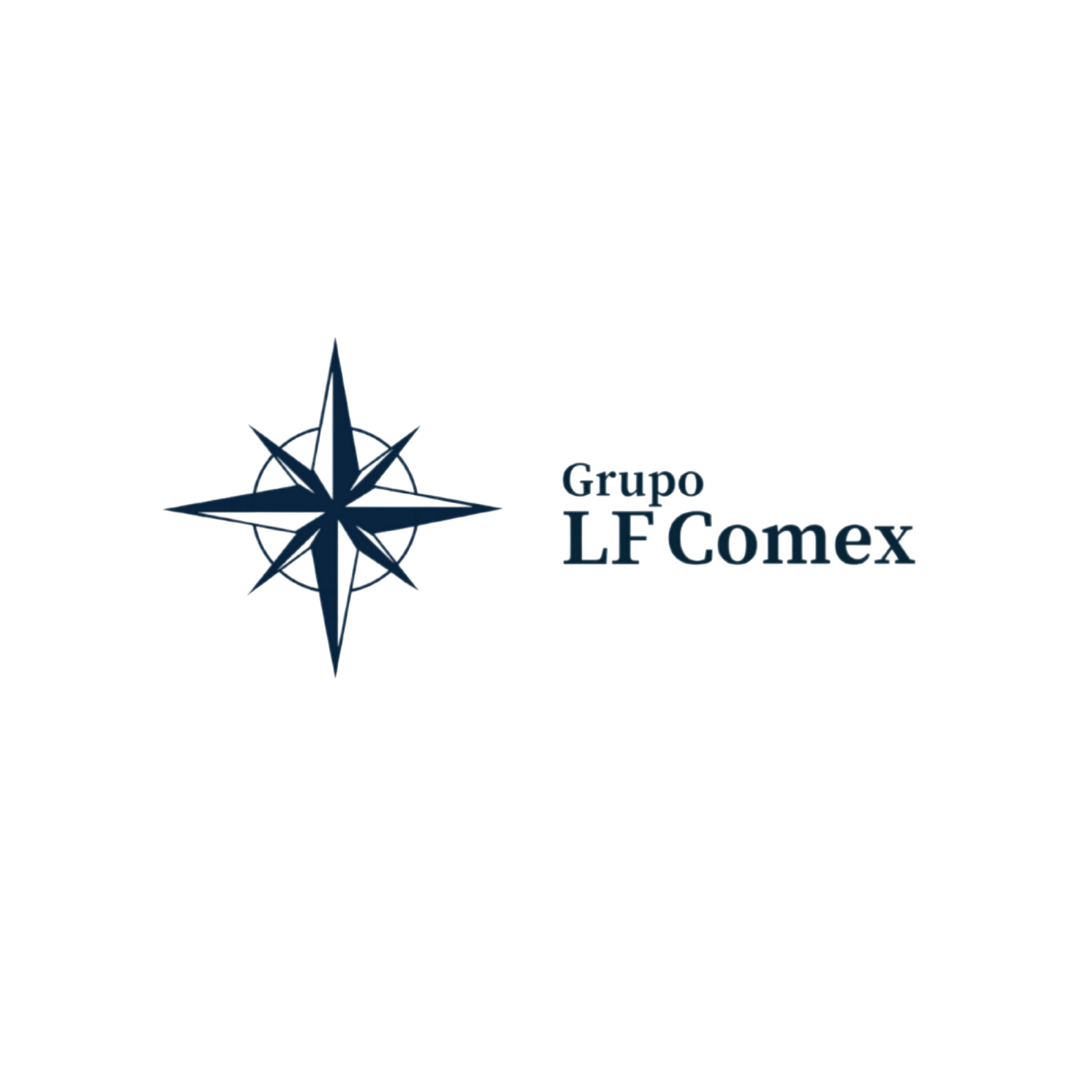GRUPO LF COMEX
